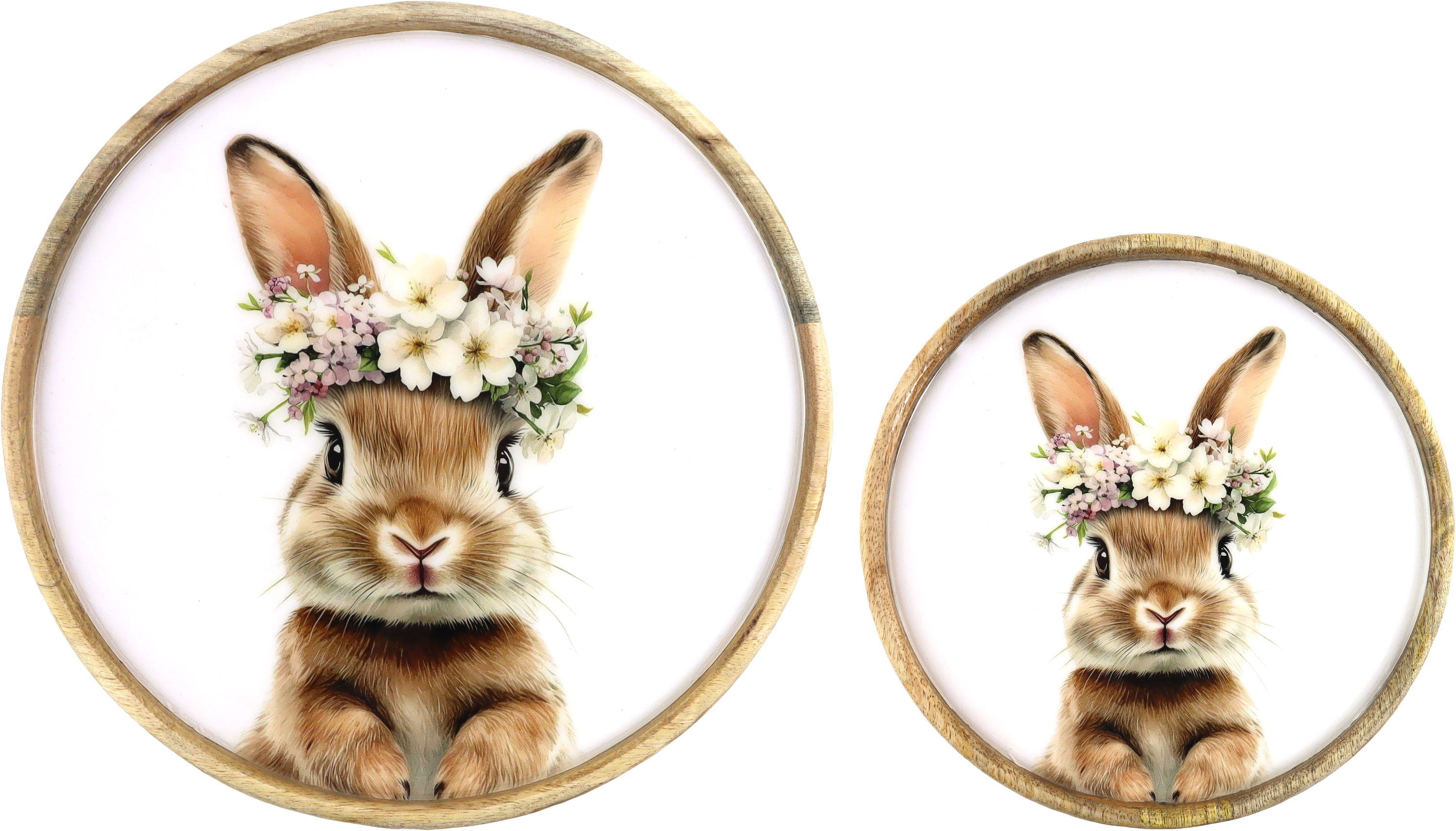 PLATTEN BUNNY BLOOM!  S/2