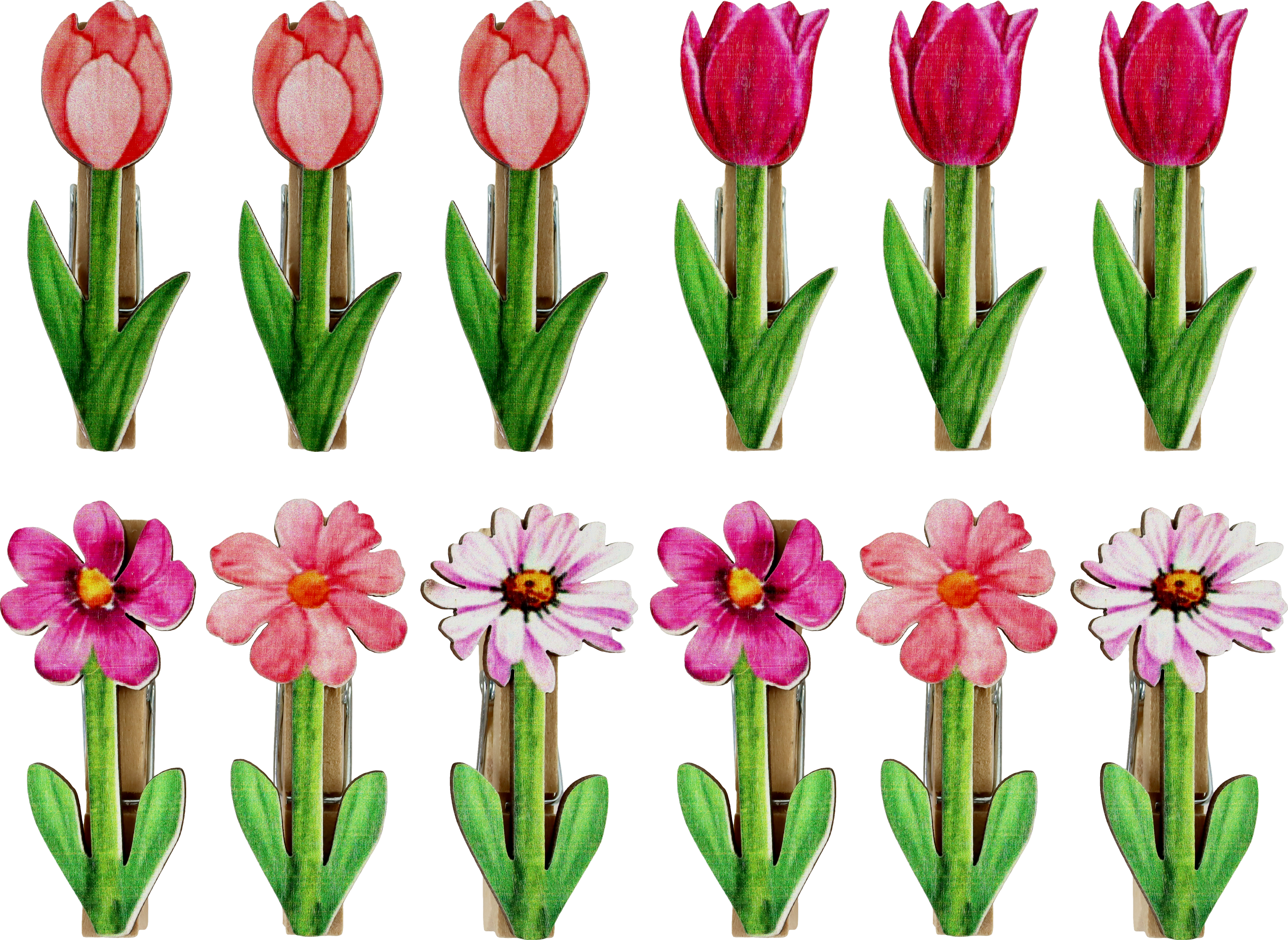 KLAMMERN BLOSSOM BREEZE  S/12