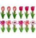 KLAMMERN BLOSSOM BREEZE  S/12