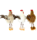 HÜHNER COTTAGE CHICKEN  S/3