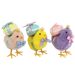 KÜKEN EASTER CANDY  S/3
