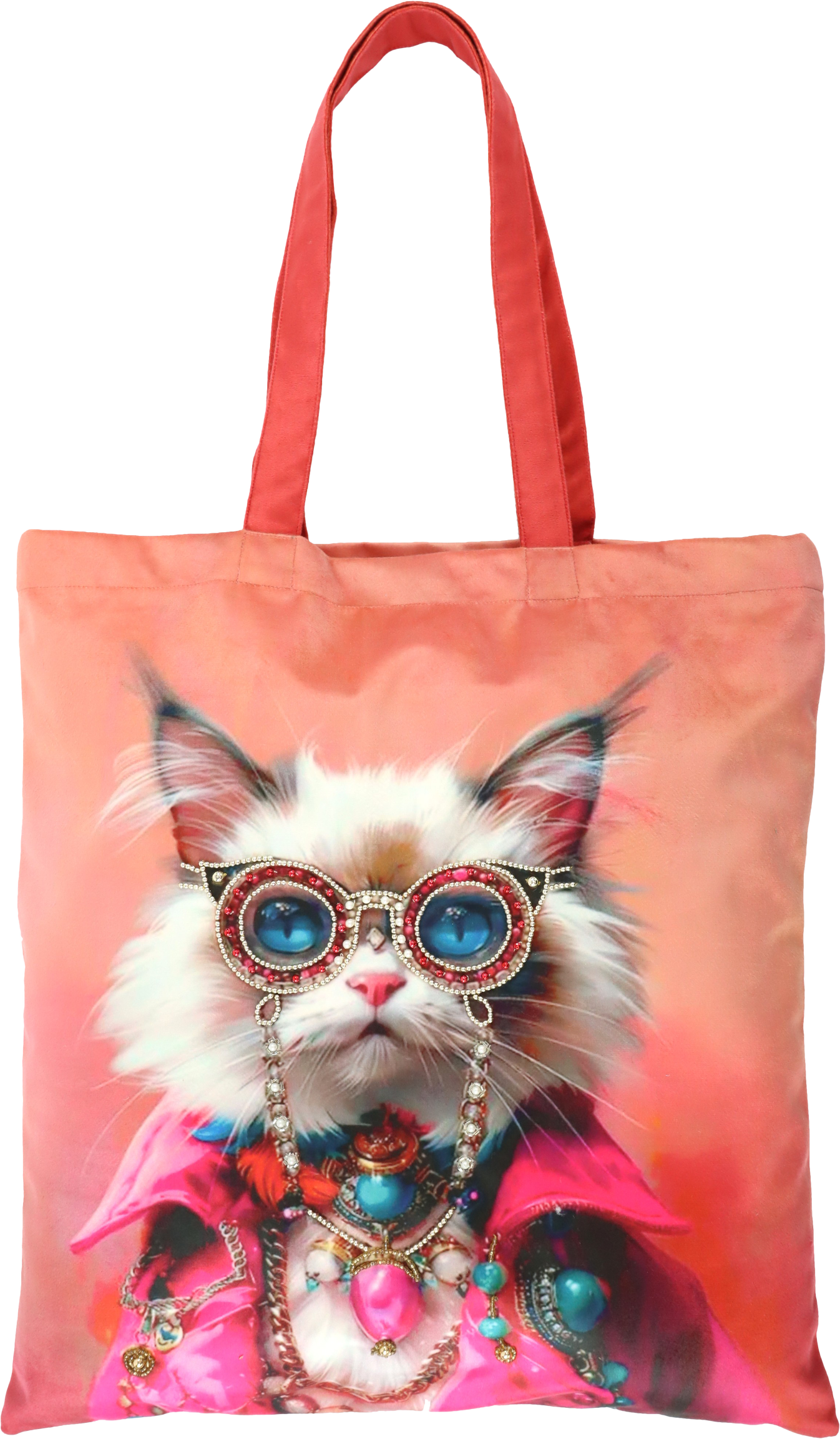 TASCHE CRAZY CAT
