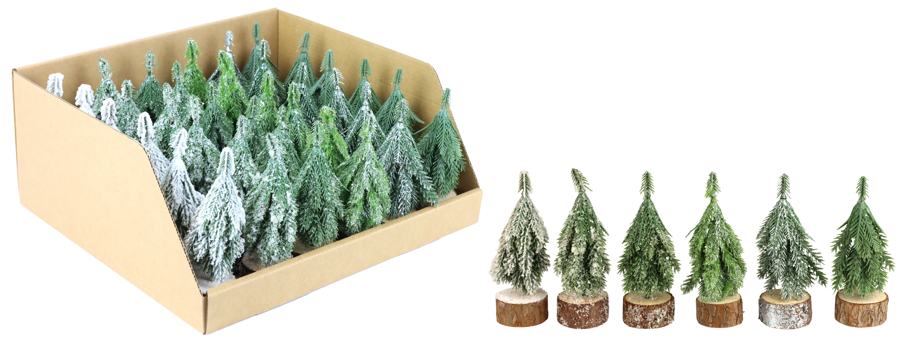 DISPLAYBOX MINIBÄUMCHEN  S/36