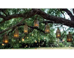 Boho Bliss