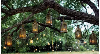 Boho Bliss