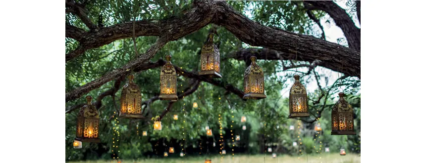 Boho Bliss
